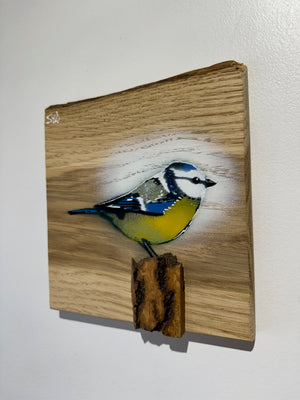 Blue Tit  'Spring Time' on Oak from the UK size 18 x 19cm - Signed limited edition artwork