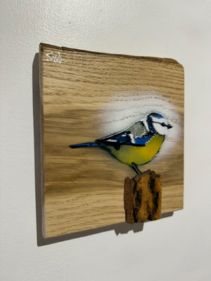 Blue Tit  'Spring Time' on Oak from the UK size 18 x 19cm - Signed limited edition artwork