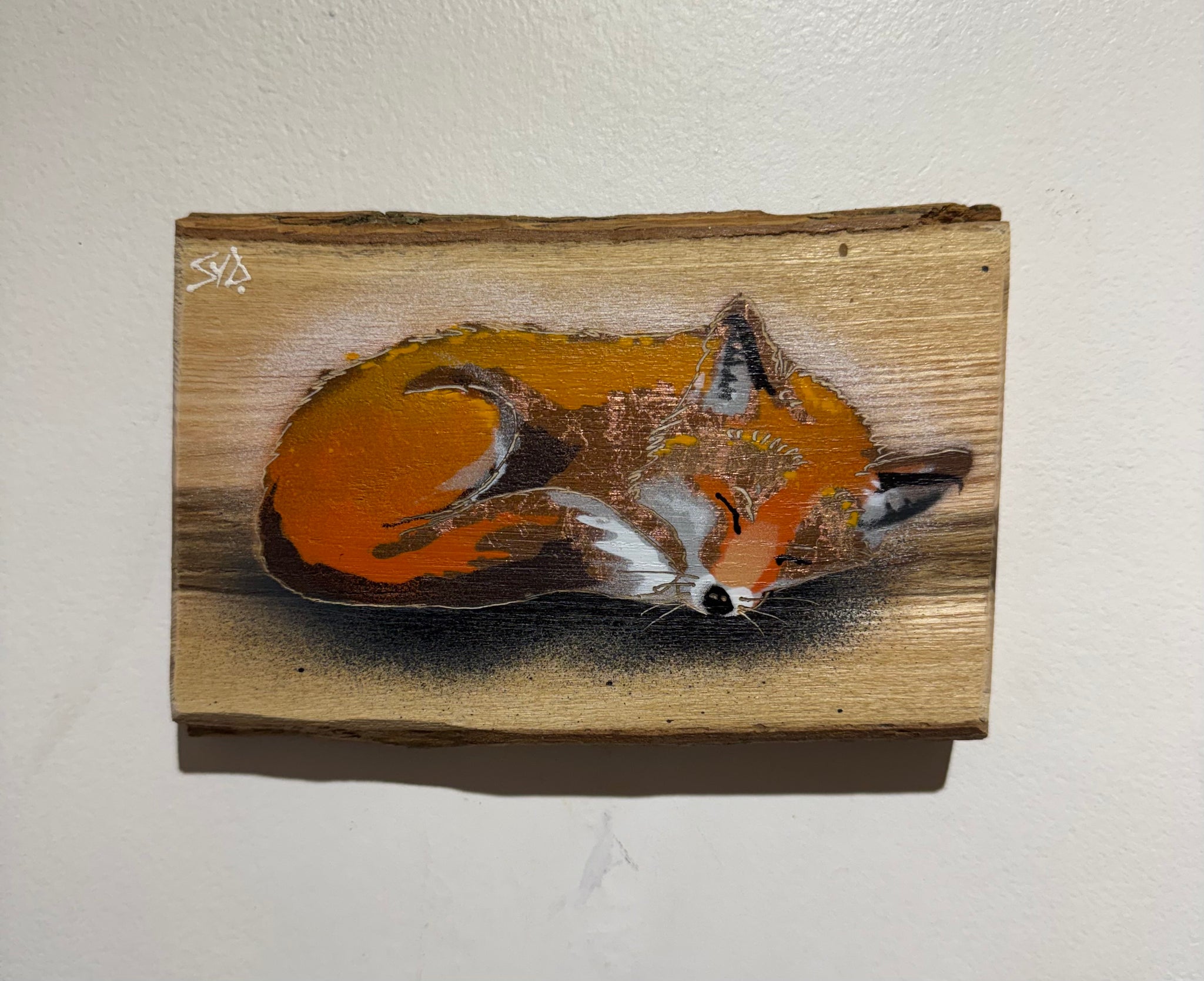 Snoozey Fox - Best Seller in 2026 on barky Ash wood - Number 93 - Size 17 x 11cm