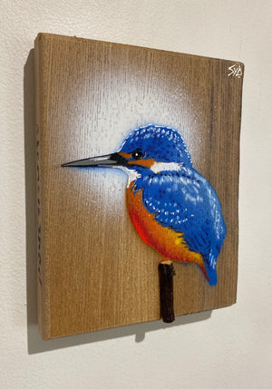 'Kingfisher 2023' on Elm wood - New Limited Edition Signed artwork size 14 x 17cm - No. 5