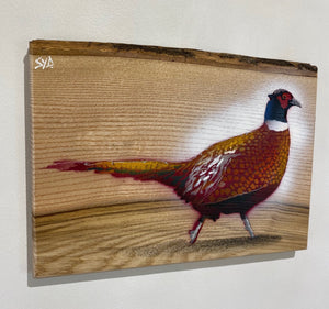 Pheasant 2023 - New on Ash wood with barky top edge - Signed Limited edition - 31 x 22cm