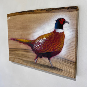 Pheasant 2023 - New on Ash wood with barky top edge - Signed Limited edition - 31 x 22cm