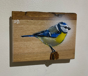 'Spring Time' Blue Tit on  Barky Ash - New for 2023 size 17 x 12cm