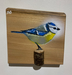 Spring Time - Blue Tit on Elm - New for 2023 - Number 5 in edition - 16 x 16cm
