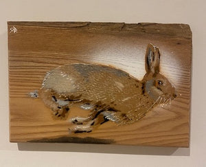 Hare 2020 ‘In flight’ - on Elm wood with fantastic grain - size 24 x 17cm - Signed limited edition