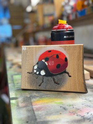 Ladybird ‘Speedy’ 2024 - Number 9 in edition Oak wood from the UK - 14 x 14cm