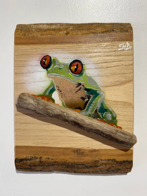 Tree Frog new Artwork for 2025 on barky Ash wood - Number 51 of signed Limited Edition - 15 x 20cm