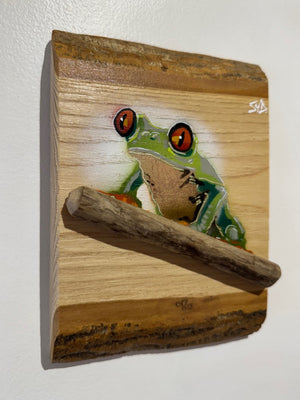 Tree Frog new Artwork for 2025 on barky Ash wood - Number 51 of signed Limited Edition - 15 x 20cm