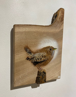 Wren 2023 on unique Elm wood - signed limited edition artwork - 15 x 23cm