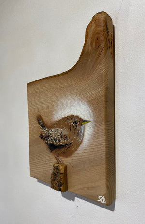 Wren 2023 on unique Elm wood - signed limited edition artwork - 15 x 23cm