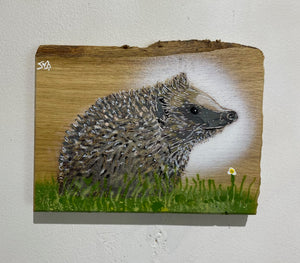 Hedgehog on Oak - New for 2024 - 19 x 15cm