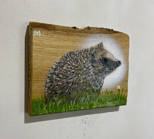 Hedgehog on Oak - New for 2024 - 19 x 15cm