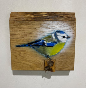 Blue Tit  'Spring Time' on Oak from the UK size 15 x 15cm - Signed limited edition artwork