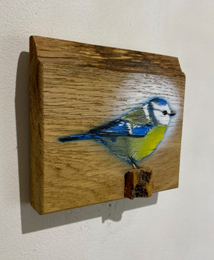 Blue Tit  'Spring Time' on Oak from the UK size 15 x 15cm - Signed limited edition artwork