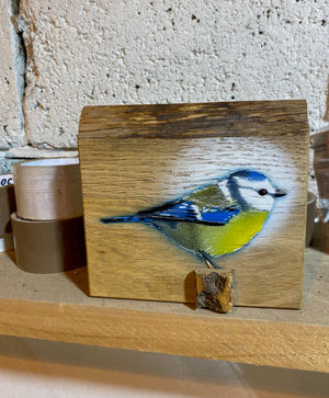 Blue Tit  'Spring Time' on Oak from the UK size 15 x 15cm - Signed limited edition artwork