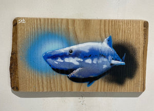 Shark on Ash wood 26 x 14cm - Signed and Limited edition from Original spray painted street artwork