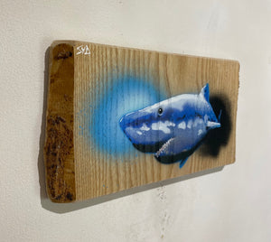 Shark on Ash wood 26 x 14cm - Signed and Limited edition from Original spray painted street artwork