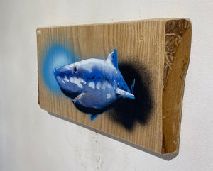 Shark on Ash wood 26 x 14cm - Signed and Limited edition from Original spray painted street artwork