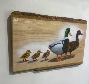 Family Quackers on Ash wood - 50 x 34cm - Signed Limited edition artwork