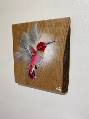 'Pink' Hummingbird on Elm wood - Signed limited edition artwork size 17 x 18cm