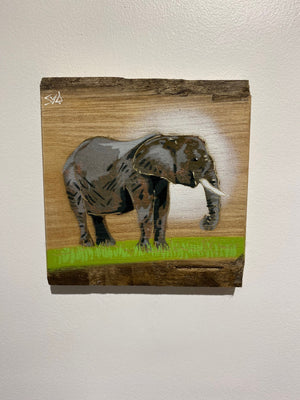 Elephant Trunky - Number 1 in edition Elm wood - 16 x 17cm