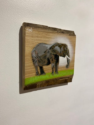 Elephant Trunky - Number 1 in edition Elm wood - 16 x 17cm