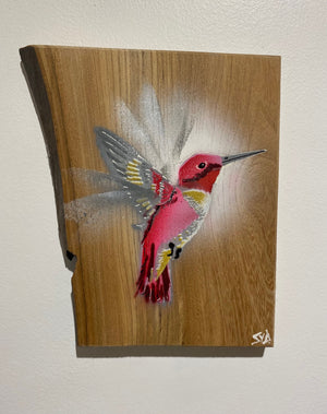 'Pink' Hummingbird on Elm wood - Signed limited edition artwork size 14 x 20cm