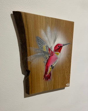 'Pink' Hummingbird on Elm wood - Signed limited edition artwork size 14 x 20cm