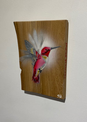 'Pink' Hummingbird on Elm wood - Signed limited edition artwork size 14 x 20cm