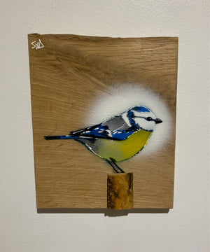 Blue Tit  'Spring Time' on Oak from the UK size 16 x 19cm - Signed limited edition artwork