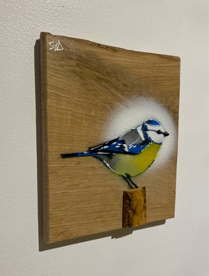 Blue Tit  'Spring Time' on Oak from the UK size 16 x 19cm - Signed limited edition artwork