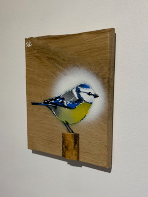 Blue Tit  'Spring Time' on Oak from the UK size 16 x 19cm - Signed limited edition artwork