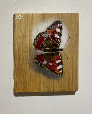 Butterfly new in 2024 Stencil Art on Oak wood size 14 x 17cm