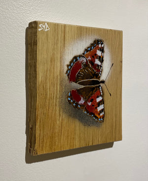 Butterfly new in 2024 Stencil Art on Oak wood size 14 x 17cm