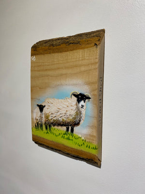 Sheep Stencil Artwork on Barky Ash wood - Limited Edition, signed art - size 17 x 26cm - No. 1 from edition of 25