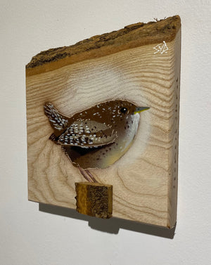 Wren 2023 on barky Ash wood from the UK - signed limited edition artwork - 15 x 17cm