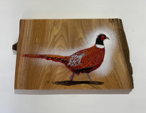 Pheasant on Elm wood from the UK - Signed Limited edition - 42 x 24cm