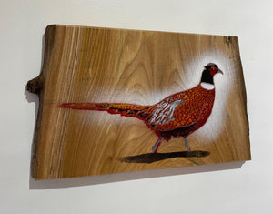 Pheasant on Elm wood from the UK - Signed Limited edition - 42 x 24cm