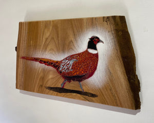 Pheasant on Elm wood from the UK - Signed Limited edition - 42 x 24cm