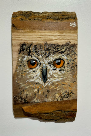 'Shy Guy' Owl artwork new for Christmas 2024 on very barky ash wood - Number 2 size 12 x 24cm