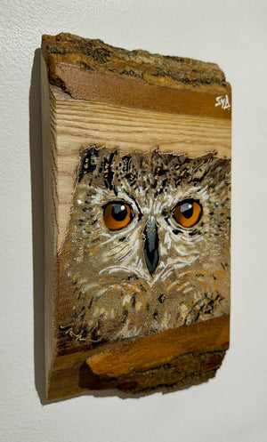 'Shy Guy' Owl artwork new for Christmas 2024 on very barky ash wood - Number 2 size 12 x 24cm