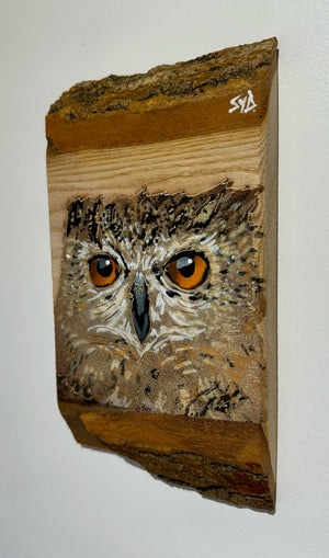 'Shy Guy' Owl artwork new for Christmas 2024 on very barky ash wood - Number 2 size 12 x 24cm