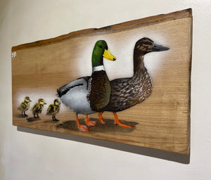 Family Quackers on Ash wood  - 50cm by 25cm