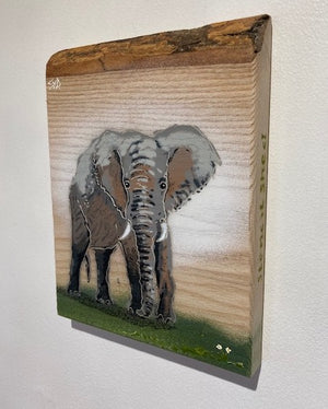 Elephant 2022 - Signed limited edition artwork on Ash wood - size 16 x 21cm - Back in stock!