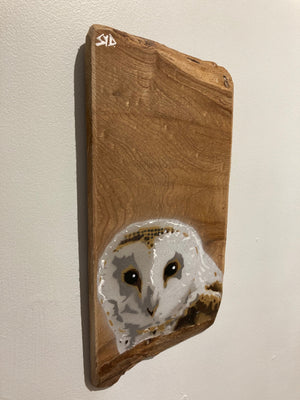 Barn Owl on Elm wood  - Unique one off piece - Stencil countryside art - Limited edition