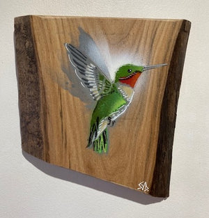 Hummingbird on Elm wood - Signed limited edition artwork size 20 x 20cm