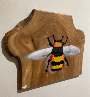 Bee XL on unique piece of rare Elm wood - Spray painted stencil artwork  - Signed Limited Edition  - 34 x 26cm