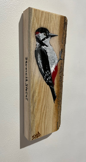 Woodpecker ‘Peckish’ 2022 - Barky Ash wood