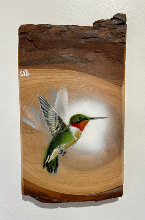 Hummingbird on Elm wood - New for 2022 - Limited edition artwork