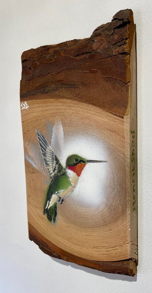 Hummingbird on Elm wood - New for 2022 - Limited edition artwork